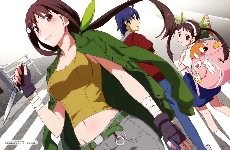 outdoors, sport, Monogatari Series, Hachikuji Mayoi, no people, group, close-up, large group of objects, art and craft, Araragi Koyomi, day, high angle view