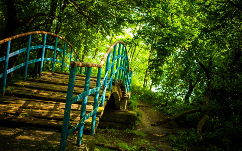 no people, ladder, outdoor play equipment, park, forest, absence, playground, empty, nature, architecture, staircase, 2K, tree, outdoors, wood - material
