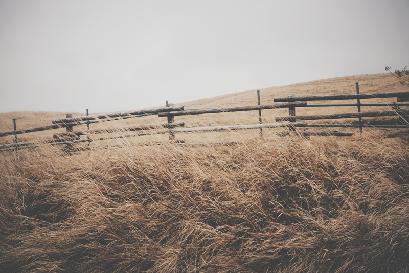 outdoors, overcast, tranquil scene, dry, non-urban scene, countryside, wheat field, landscape, land, field, brown, praire land, tranquility, meadow, post