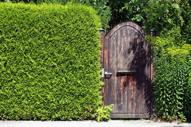old, wooden, wall, built structure, beauty in nature, green color, goal, vision protection hedge, tree, garden gate, plant, land, lush foliage, landscape