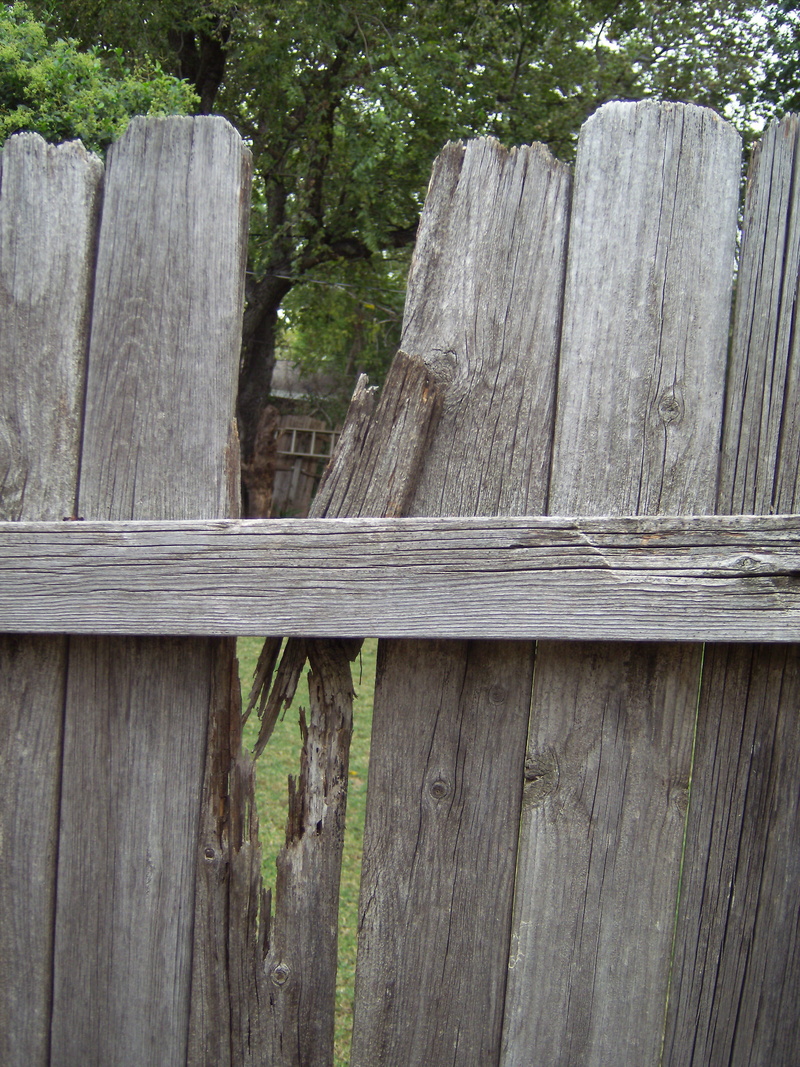 security, Broken, boundary, closed, natural, privacy, timber, garden, no people, textured, vertical, picket, plank, 2K, outdoors, exterior, hardwood, row