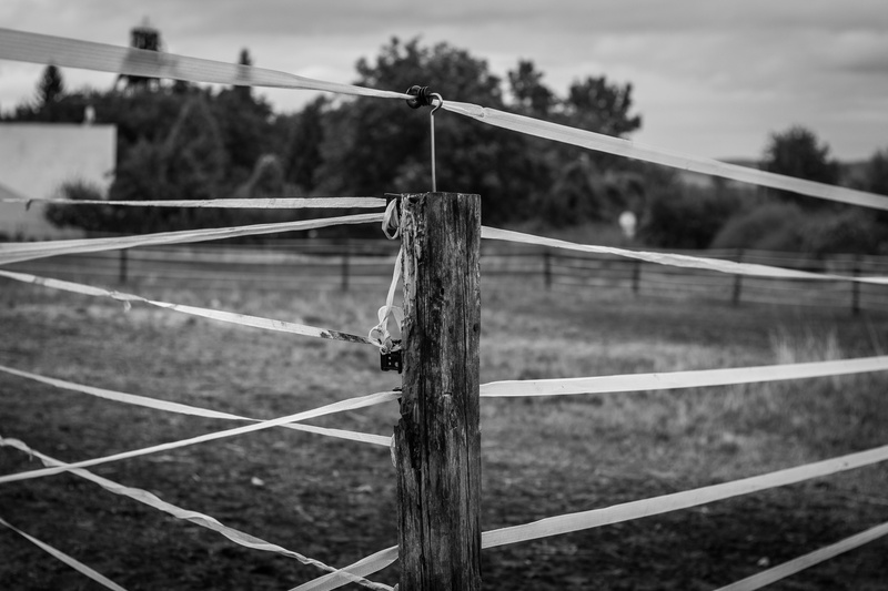 land, wood, demarcation, railing, structure, plant, belt, countryside, close-up, protection, admiration, protect, sky, boundary, nature, pen, field, metal