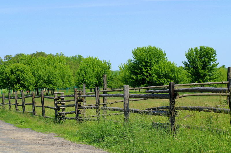 tranquil scene, outdoors, landscape, nature, green color, grass, tranquility, no people, security, day, boundary, growth, non-urban scene, wooden fence