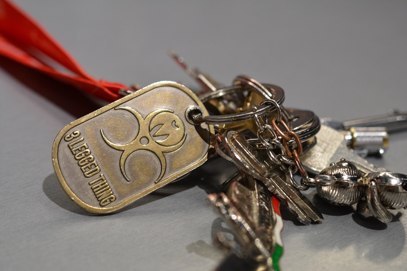 business, secure, unlock, crime, security, communication, ring, still life, macro, safe, lock, house, owner, house keys, access, studio shot, home security