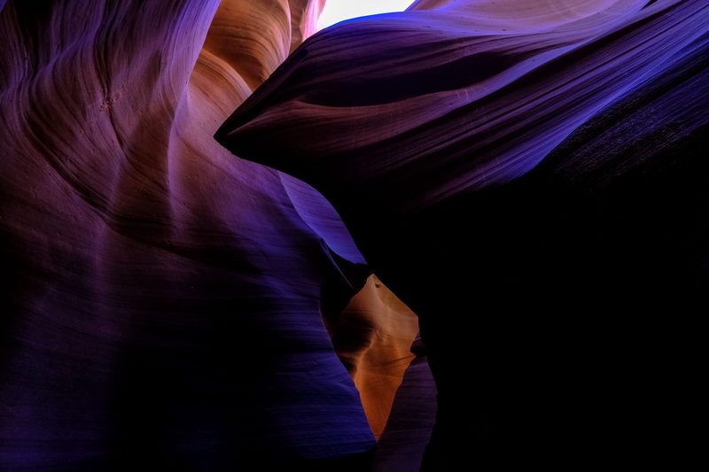 close-up, studio shot, lifestyles, no people, vulnerability, flower, light, shadows, pink color, fragility, lower antelope canyon, nature, violet, backgrounds