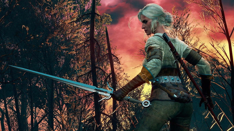 fighting, action, video, warrior, witcher, dark, hack, stealth, 1080P, online, slash, game, rpg, fantasy, hunt, wild