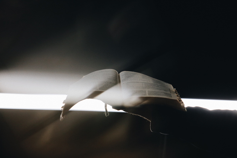 the word, feather, christian, glow, church, word, bible, dark, jesu, backgrounds, worship, 4K, education, literature, los angeles, document, world, holding