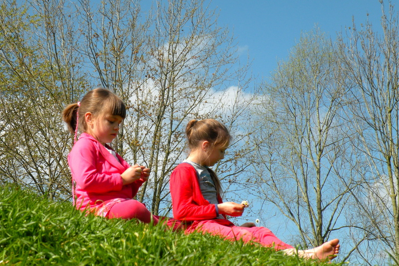 plant, grass, people, 2K, closing the eyes, smile, day, innocence, women, hands, offspring, Playground, outdoors, family, nature, happy, Children, sister