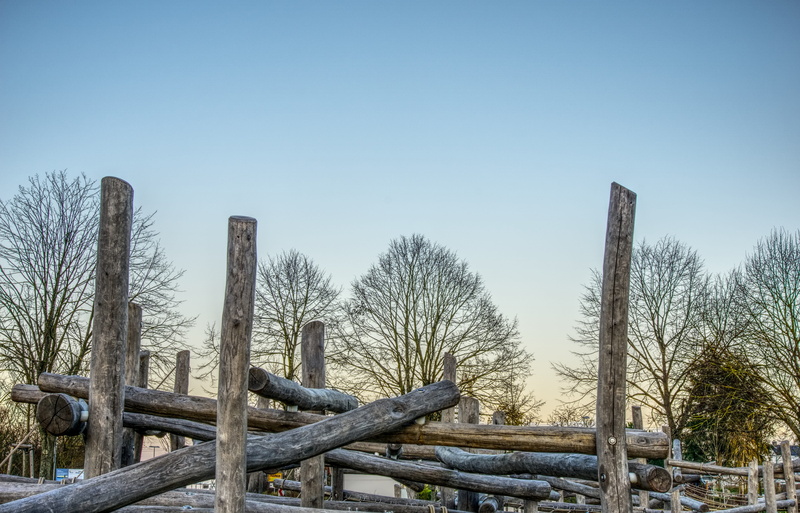 bare tree, tree-trunks trunks, wooden post, tranquil scene, nature, fence, plant, landscape, contrast, sunset, wood, game device, playground, land, climbing park