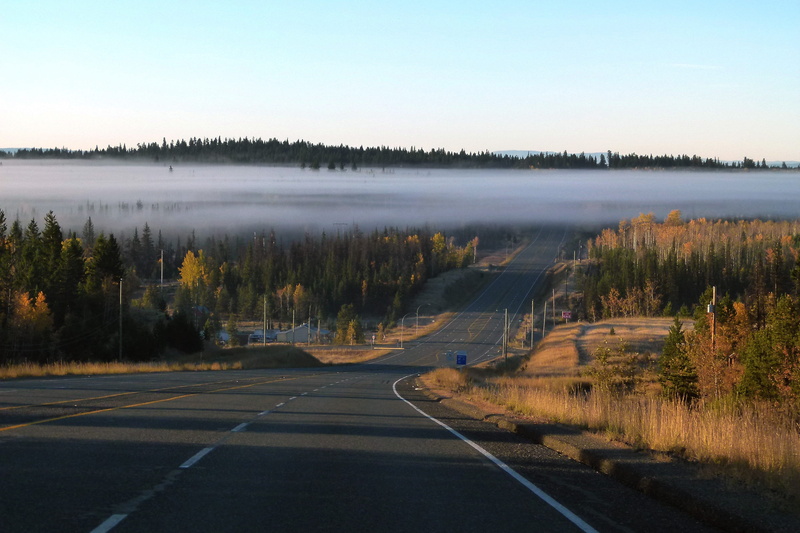 Road, landscape, autumn, Bank, nature, road, forest, fog, outdoors, photo, scenery, road marking, symbol, marking, tranquility, dividing line, scenics - nature