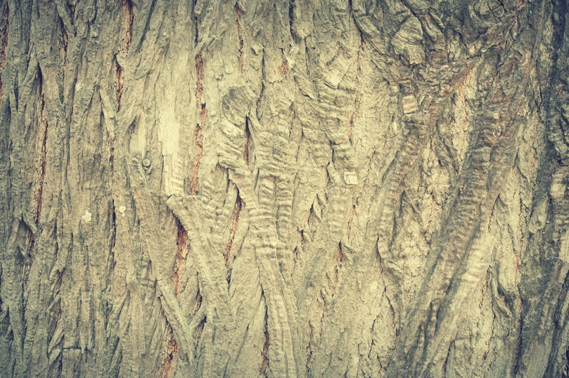 plank, rough, striped, timber, carpentry, weathered, organic, dark, pattern, panel, bark, surface, interior, wood, wooden, tree bark, hardwood, backdrop