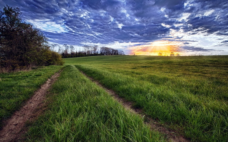 sky, springtime, traces, rural Scene, plant, plain, yellow, agriculture, mountain, layer, road, evening, non-Urban Scene, landscaped, pasture, cloudscape