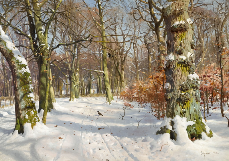 picture, cold - Temperature, nature, branch, Park, non-urban scene, outdoors, tree Trunk, day, scenics - nature, Peder Mork Monsted, forest, tranquil Scene