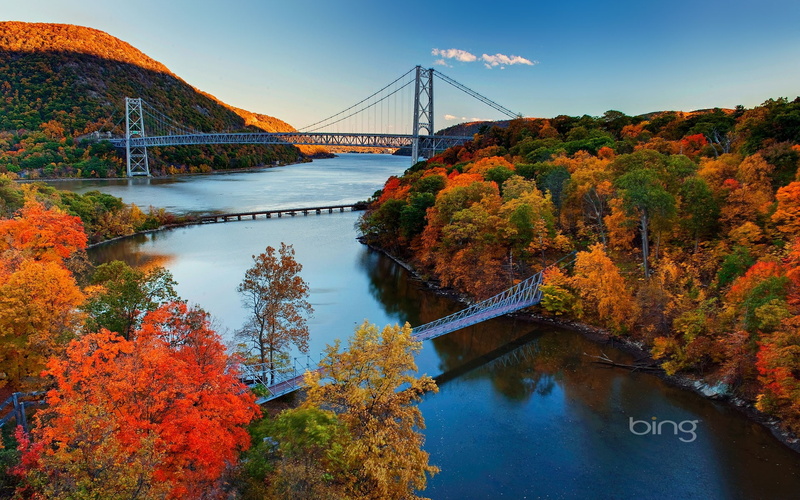 hudson, brown, autumn, nature, connection, water, river, sky, 1080P, beauty in nature, trees, tree, suspension bridge, leafed, plant, built structure