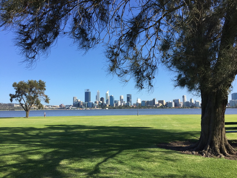 summer, building, water, building exterior, Western, river, park, scene, scenic, tree, urban, Skyline, outdoors, sunlight, landscape, Perth, architecture