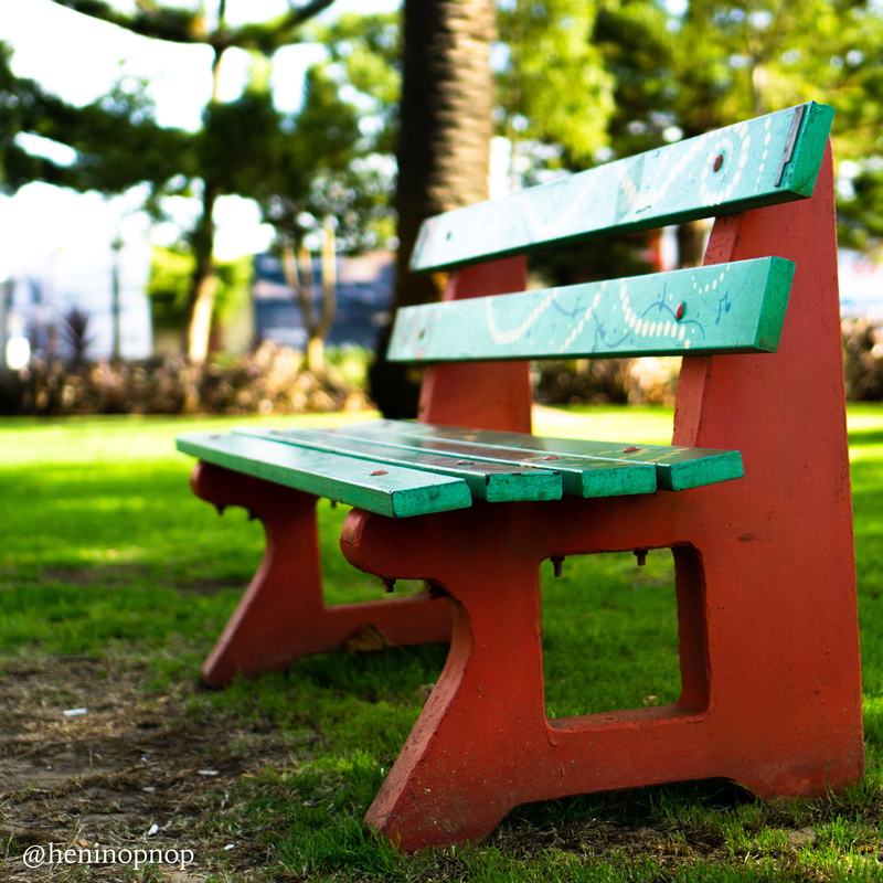 focus on foreground, park - man made space, nature, table, tree, 4K, empty, seat, land, australia, perth, red, day, grass, green, fremantle, green color