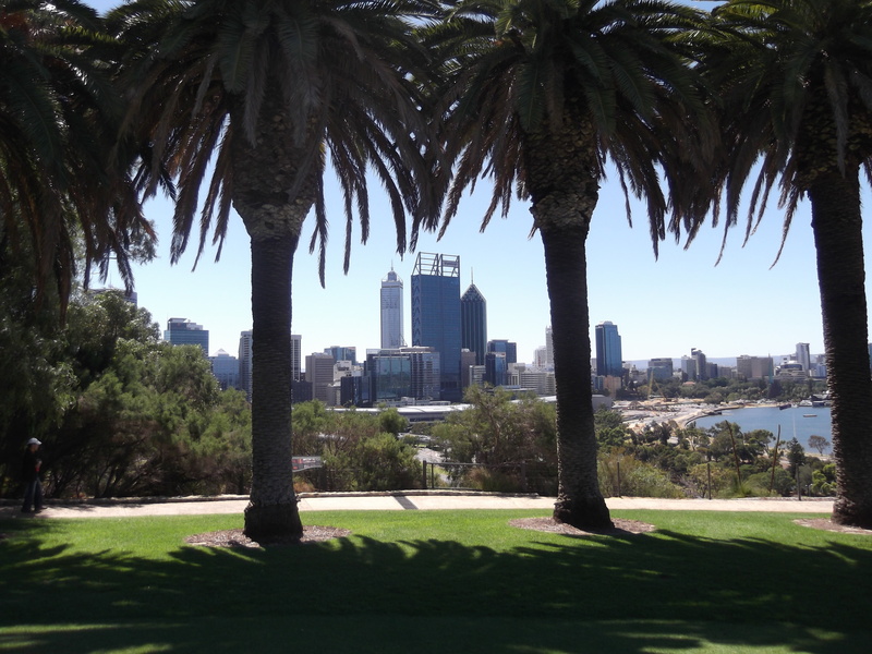 tall - high, building exterior, architecture, green color, park - man made space, australia, perth, modern, plant, skyscraper, outdoors, trees, palm tree