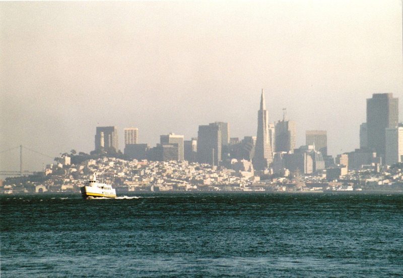san francisco, buildings, bay, sausalito, san, gray, animals, city, francisco, 1080P, area, california