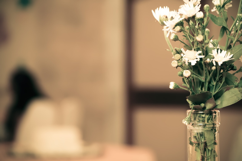 focus on foreground, flowering plant, bunch of flowers, no people, vulnerability, plant, trees, flower head, fragility, arrangement, selective focus, indoors