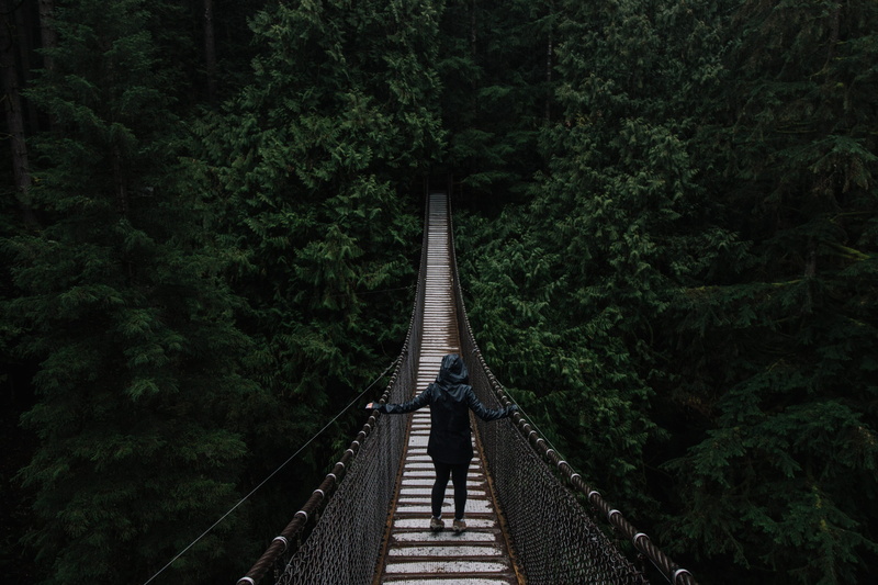 outdoors, 5K, bridge - Man Made Structure, hanging, bridge, real people, behind, connection, hoodie, direction, nature, leisure activity, hanging bridge