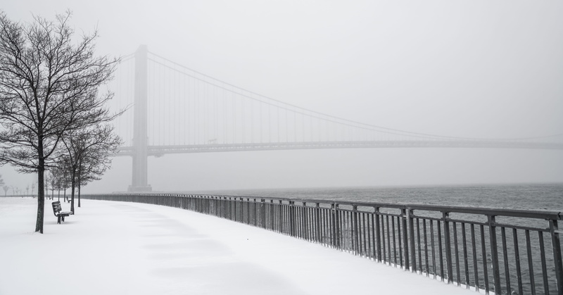 tree, fog, outdoors, transportation, bridge - man made structure, nyc, no people, day, snowing, sky, railing, 8K, park, beauty in nature, brooklyn, snow