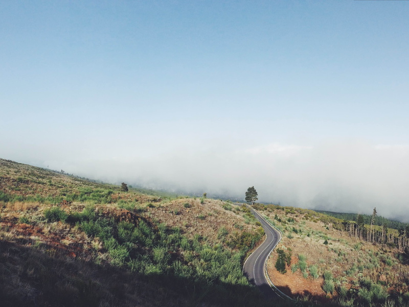scenics - nature, non-urban scene, tranquil scene, direction, plant, sky, vehicle, fog, copy space, journey, landscape, green, traffic, day, drive, idyllic