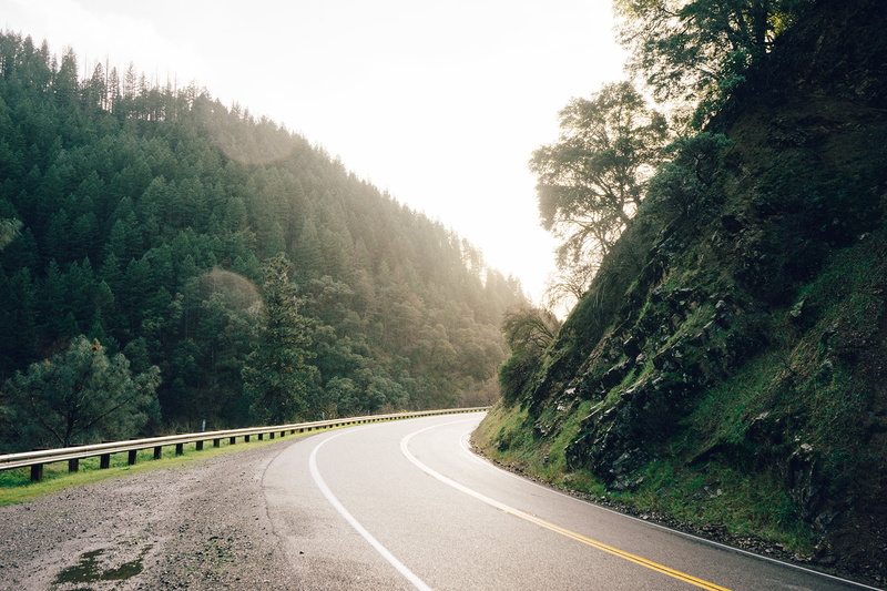forest, 1080P, guard rail, road marking, photo, tree, growth, curve, near, plant, the way forward, direction, tranquil scene, road, winding road, scenics