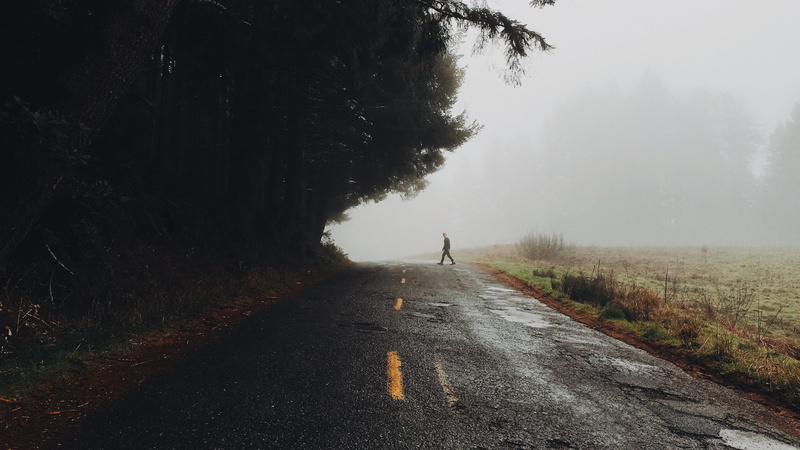walking, farmland, mist, tranquil scene, road, storm, person, rain, guidance, day, fog, water, asphalt, the way forward, street, transportation, light