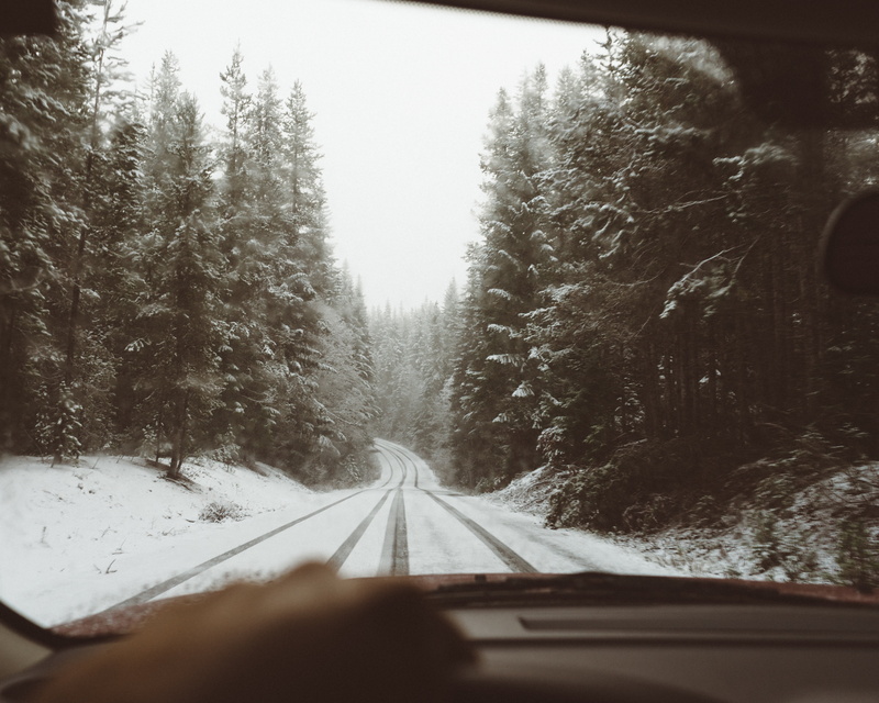 covered, road, mode of transportation, highway, forest, no people, outdoors, transparent, vanishing point, track, car point of view, tree, the way forward