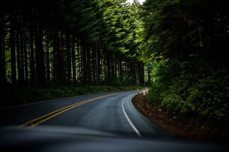 asphalt, street, United States, rural Scene, road marking, driving, photos, car point of view, vehicle interior, speed, day, green color, direction, nature