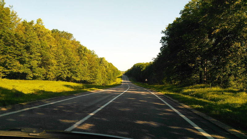 blue, 4K, green, Trees, the continuous line, plant, Asphalt, growth, Forest, mode of transportation, sky, vegetation, Blue Sky, direction, beauty in nature