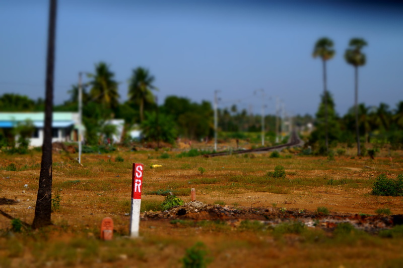 tree, photography, beauty, trees, outdoors, indian, selective focus, photo, village, beautiful, road, land, plant, sign, sky, tranquility, nature, day