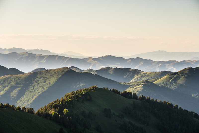 trees, leafed, mountain peak, plant, Wasatch Mountains, green, green color, tranquil scene, 1080P, Utah, scenics - nature, sunset, idyllic, no people