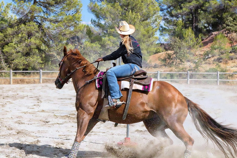 one animal, animal themes, riding, livestock, time, vertebrate, horse, activity, pets, ride, mammal, shoe, domestic animals, leisure activity, gallop, saddle