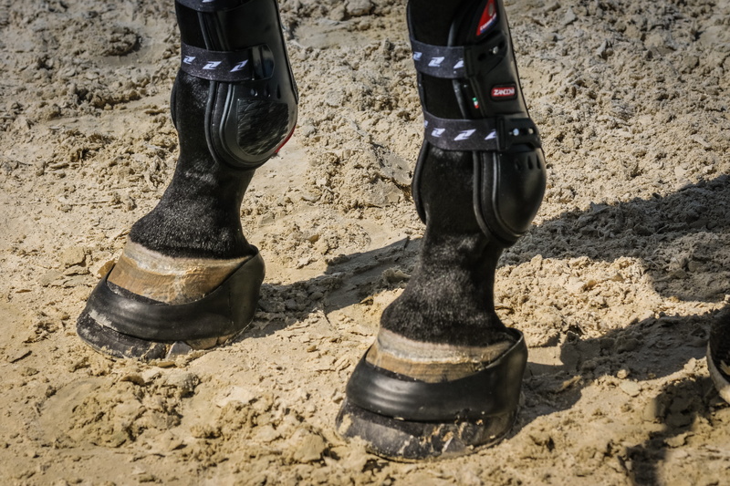 day, body part, nature, rubber boot, low section, ratières, leather, shoe, leisure activity, horse, land, hoof, real people, sunlight, sabot, dirt, mud