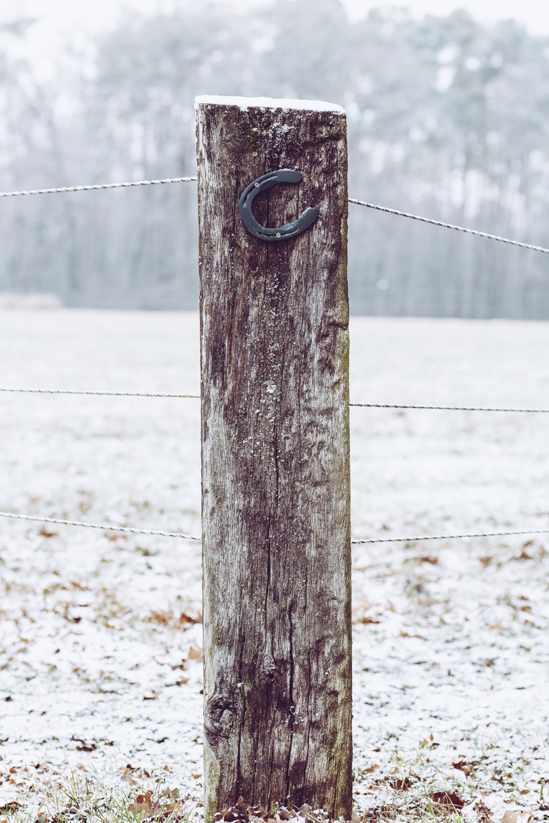 no people, safety, rusty, barrier, outdoors, security, wooden post, 5K, nature, wooden, close-up, protection, black, metal, focus on foreground, cold temperature