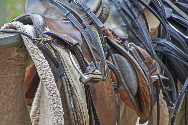 fishing industry, saddle, ride, metal, brown, equestrian, 4K, horse, architecture, silver colored, animal, focus on foreground, no people, close-up, rope