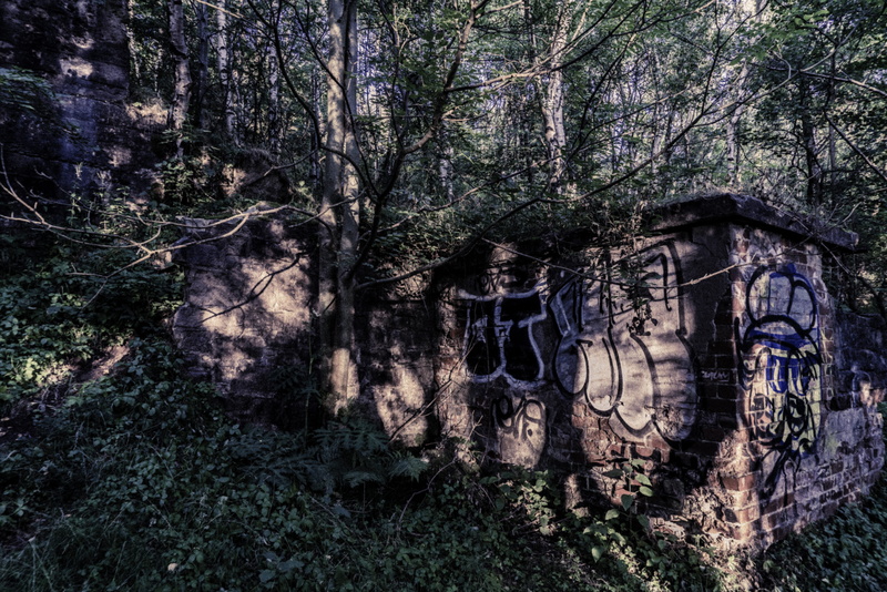 trunk, growth, built structure, tranquility, united kingdom, land, tree trunk, building exterior, branch, architecture, woodland, day, no people, overgrown