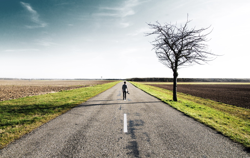 france, landscape, direction, road, portrait, field, rear view, one person, plant, environment, day, bare tree, quote, 5K, full length, explore