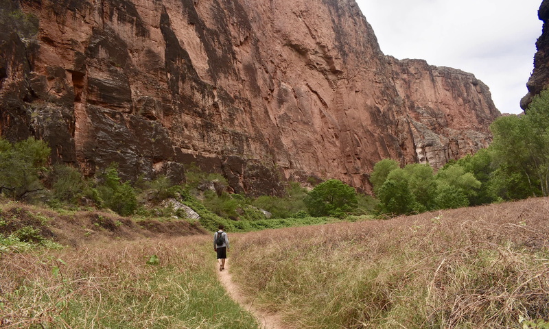 walking, havasu, mountain range, one person, day, field, land, beauty in nature, havasufall, outdoors, nature, hiking, open, lifestyles, rear view, 2K