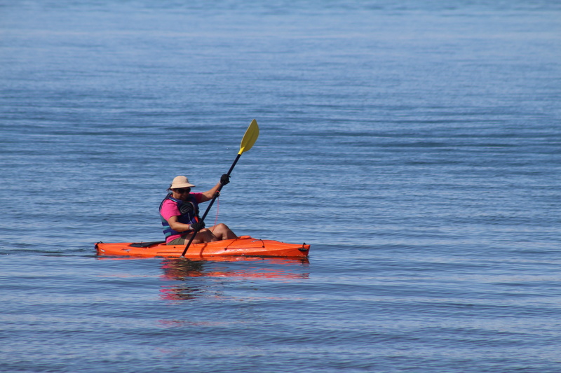 kayak, paddle, leisure activity, waterfront, water, one person, sport, lifestyles, oar, sea, day, lake havasu, real people, watercraft, men, nature, life jacket