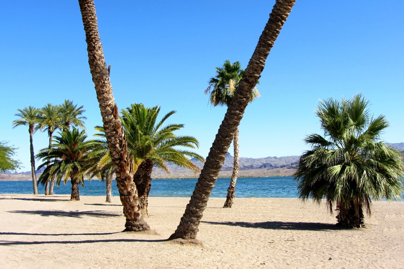 horizon over water, travel Destinations, trees, near, outdoors, beauty in nature, sky, tranquil scene, idyllic, Palms, growth, palm trees, sunlight, trunk