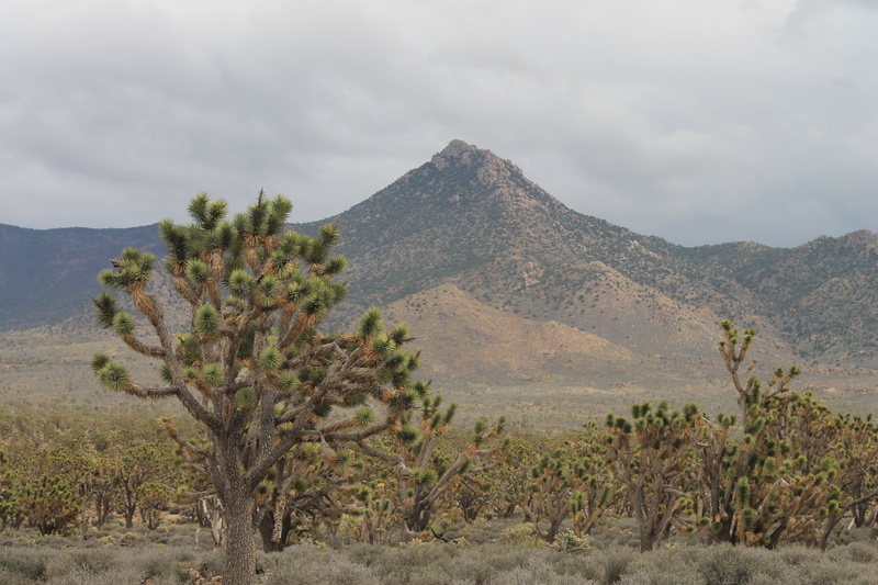 semi-arid, day, formation, sunrise, cloud - sky, horizontal, gold, america, blue, texture, mountain, remote, scenics - nature, tranquil scene, desert, mountain range