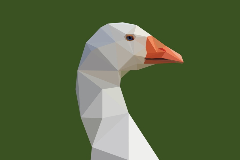 Animal, Abstract, Goose, Low Poly, Facets, Minimalist, Polygon, Bird, 1080P