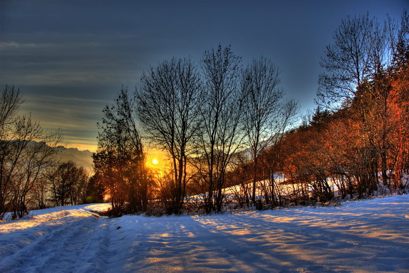Snow  Mountains, baretrees, blue sky, Alps, frost, season, CreativeCommons, Sunset, 4K, landscape, HDR, tree, Trees, blue, cold - Temperature, forest