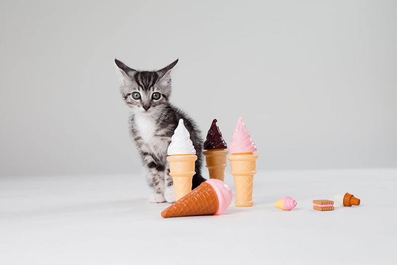 foundation, domestic Cat, pets, Grey, animals, Stock Photography, animal, near, cone, brown, Kitten, cute, baby, Ice Cream Cones, baby animal, brown tabby