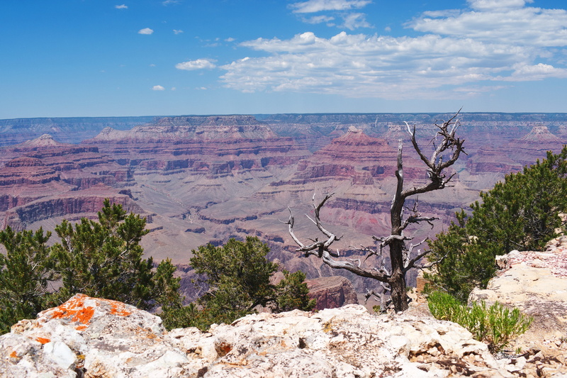 national Park, tranquility, mountain, canyon, wilderness Area, Landscape, tree, beauty In Nature, solid, land, uSA, cloud - sky, climate, rock Formation