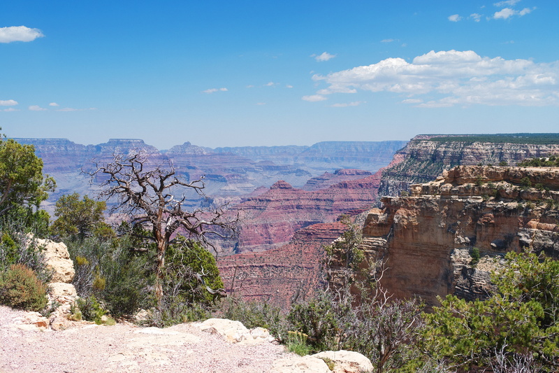 park - Man Made Space, arid climate, nature, travel Destinations, extreme Terrain, cloud - sky, arizona, beauty In Nature, southwest USA, tree, landscape