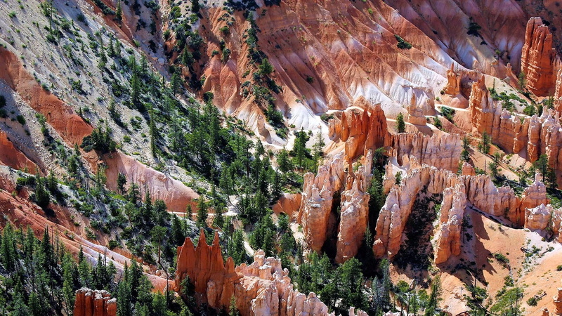 united states, nature, scenics - nature, formation, rock - object, non-urban scene, rock formation, outdoors, mountain, landscape, physical geography, plant