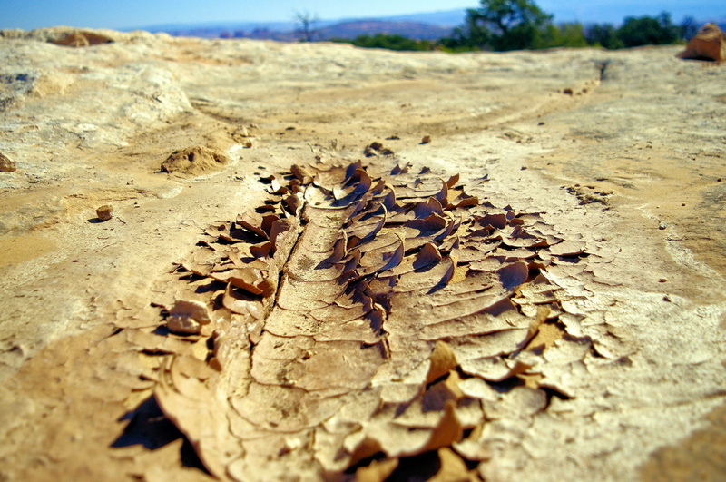 mud, outdoors, climate, field, day, no people, surface, natural, dirt, national, surface level, textured, soil, dried mud at canyonlands, leaf, rough, wood - material
